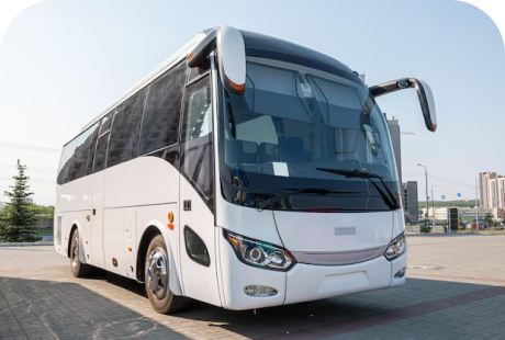 Bus Operators