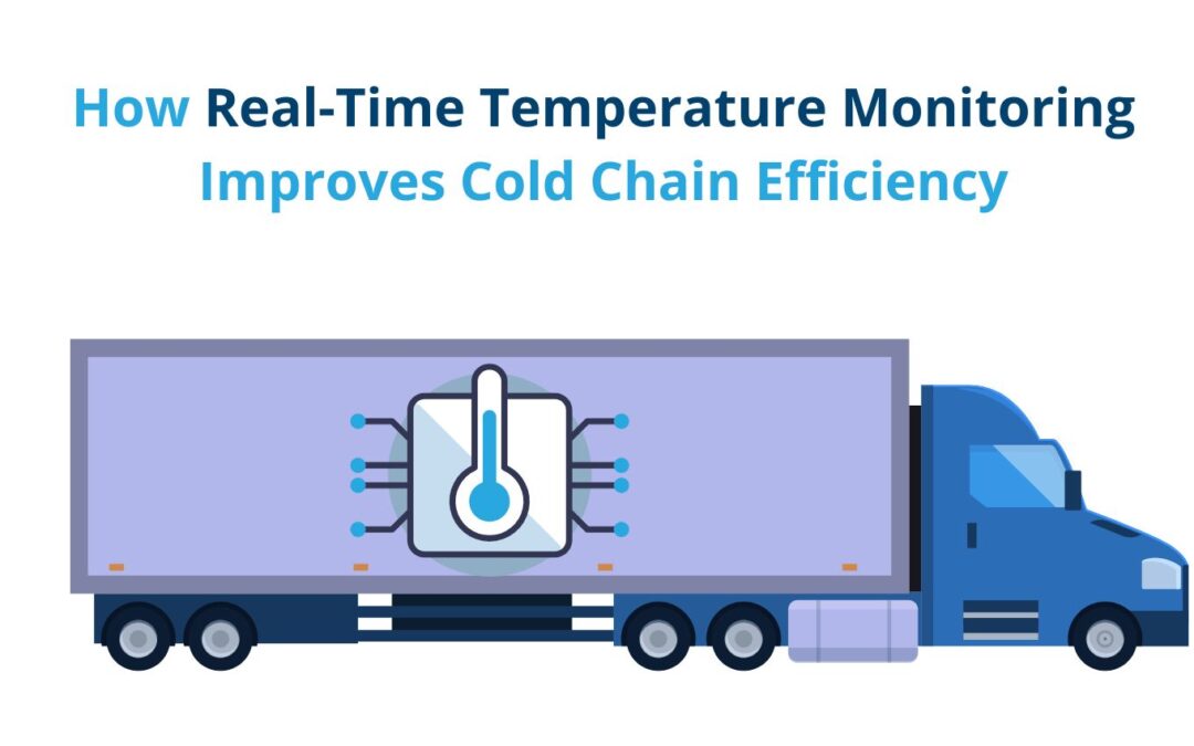 How Real-Time Temperature Monitoring Improves Cold Chain Efficiency
